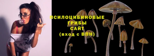 таблы Богданович