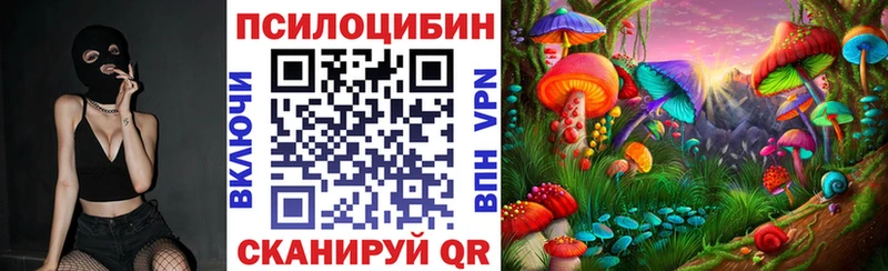 omg tor  Козьмодемьянск  Галлюциногенные грибы Psilocybe 